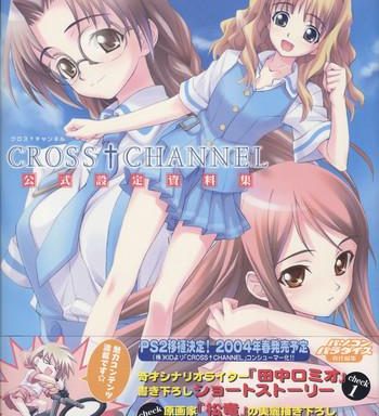 cross channel official setting materials cover