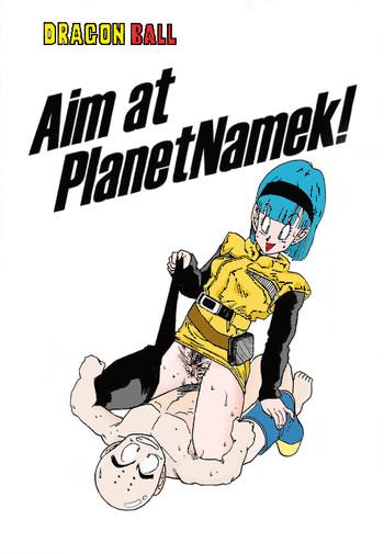 aim at planet namek cover 2