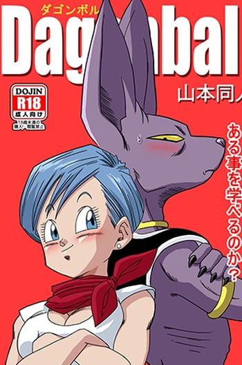 beerus x bulma doujin english cover