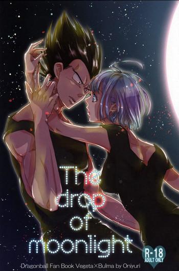 the drop of moonlight cover 1