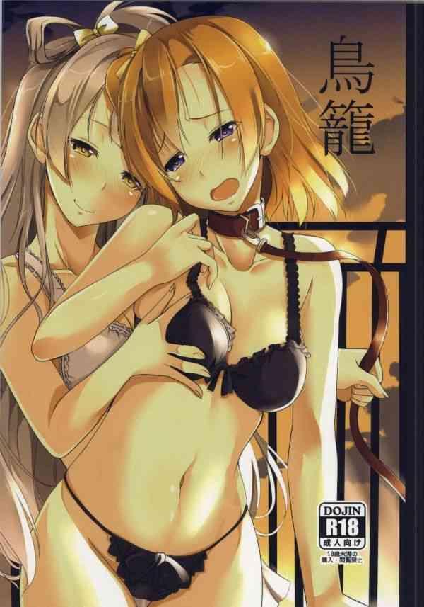 torikago cover 1