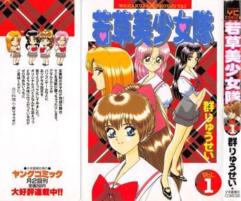 wakakusa bishoujotai vol 1 cover