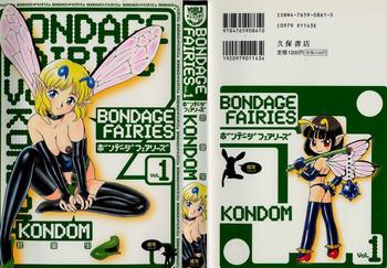 bondage fairies vol 1 cover