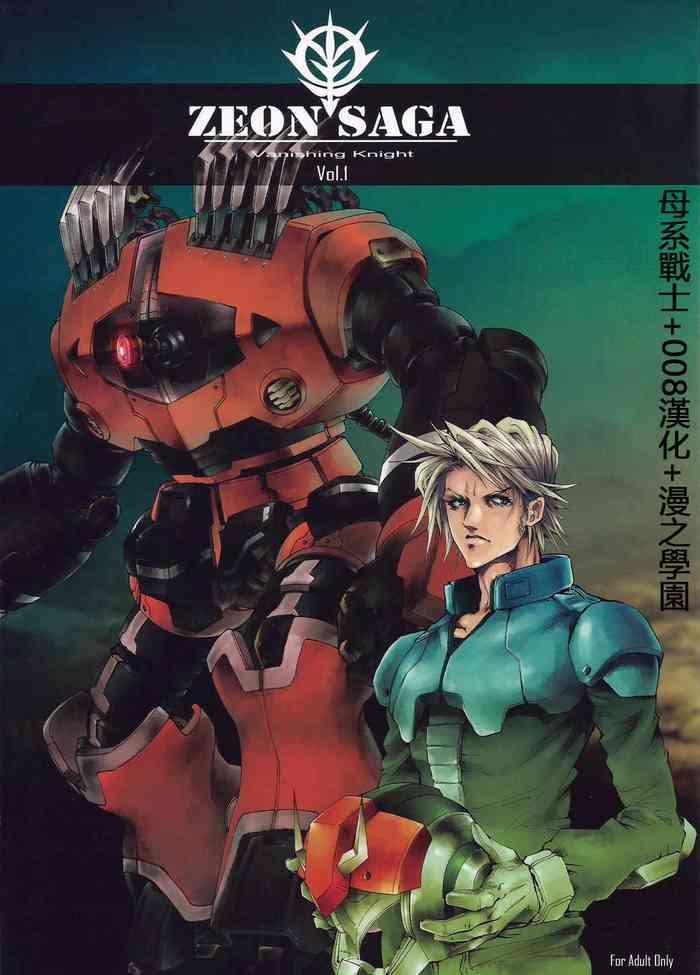 zeon saga vanishing knight cover