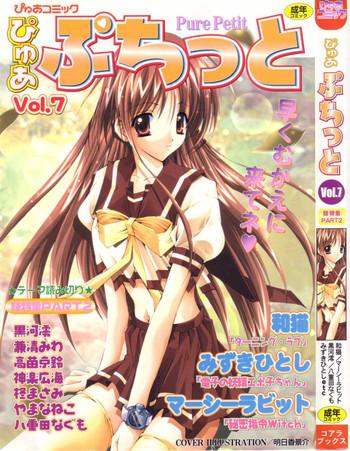 pure petit vol 7 cover