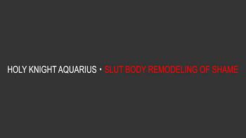 seikishi aquarius chijoku no nyotai kaizou holy knight aquarius slut body remodeling of shame cover